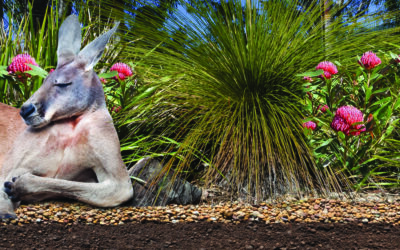 Smart contractors choose Benedict SmartMix®