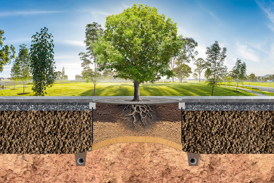 Soil innovations for landscape project success