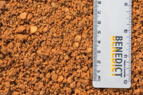 Benedict TR SAND backfill for underground cables